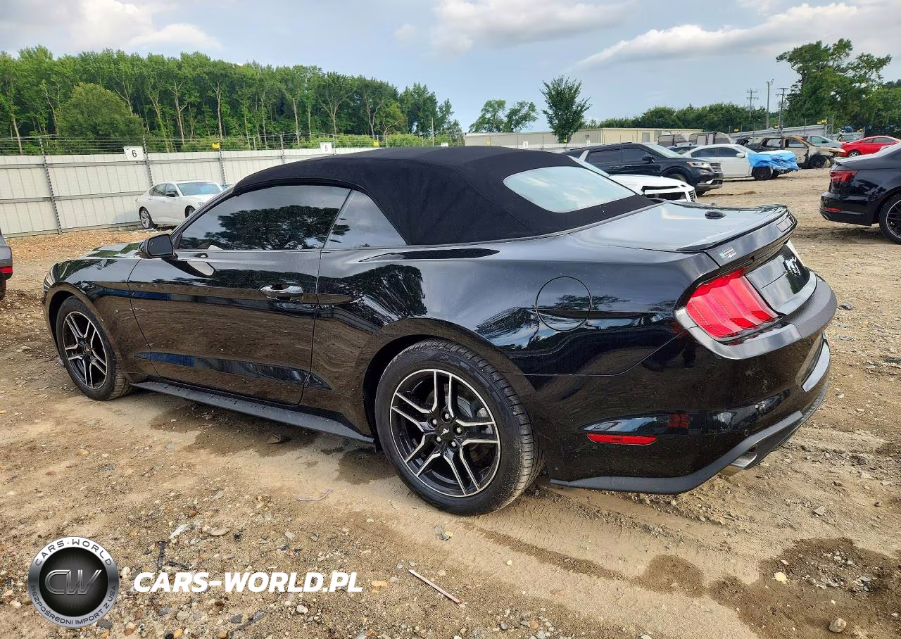 2023 Ford Mustang VIN:1FATP8UH6P5104244 - 2