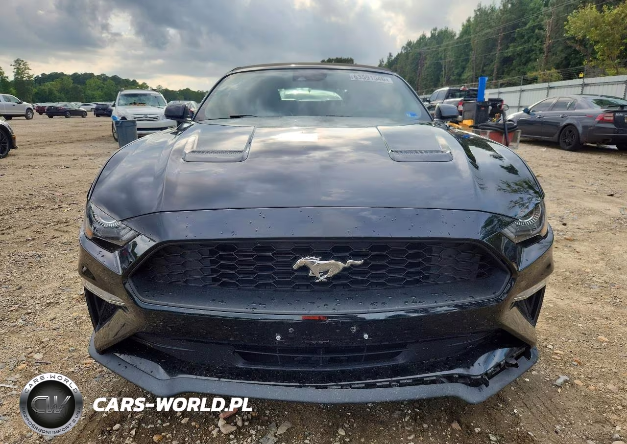 2023 Ford Mustang VIN:1FATP8UH6P5104244 - 5