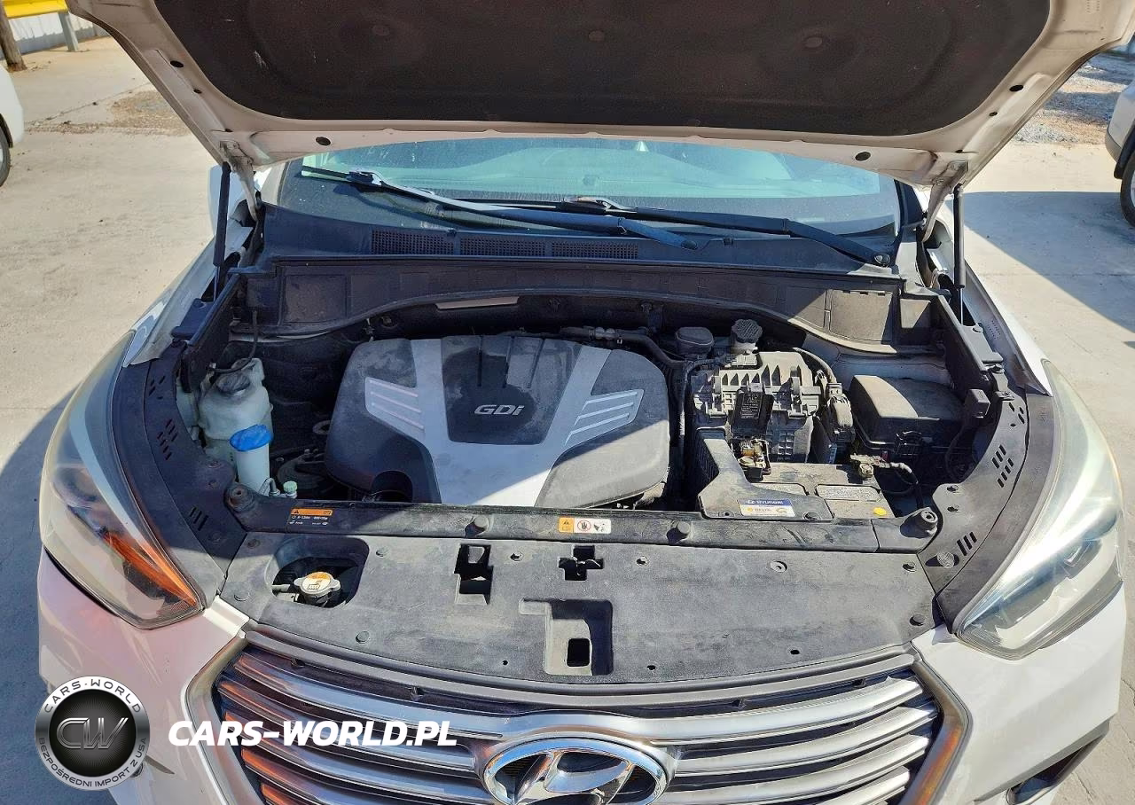 2017 Hyundai Santa Fe Limited Ultimate VIN:KM8SR4HF3HU241324 - 11