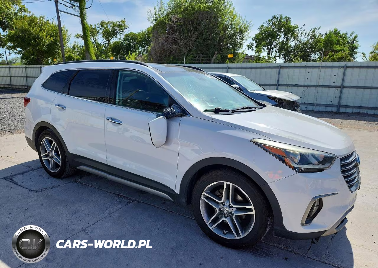 2017 Hyundai Santa Fe Limited Ultimate VIN:KM8SR4HF3HU241324 - 4