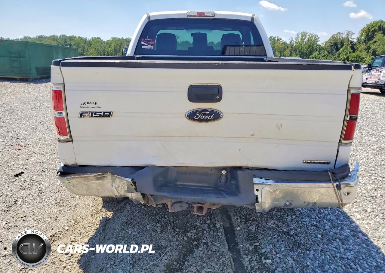 2012 Ford F150 VIN:1FTMF1CF7CFC82046 - 10