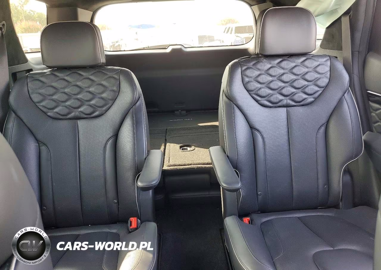2020 Hyundai Palisade Limited VIN:KM8R54HE6LU093888 - 10