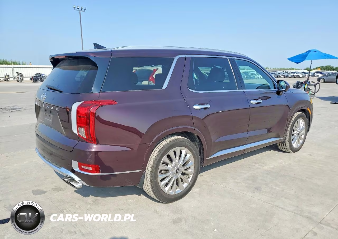 2020 Hyundai Palisade Limited VIN:KM8R54HE6LU093888 - 3