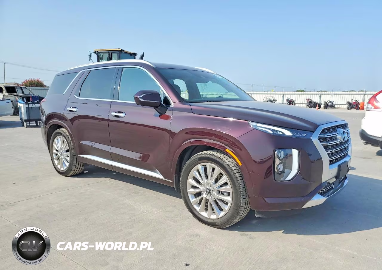 2020 Hyundai Palisade Limited VIN:KM8R54HE6LU093888 - 4