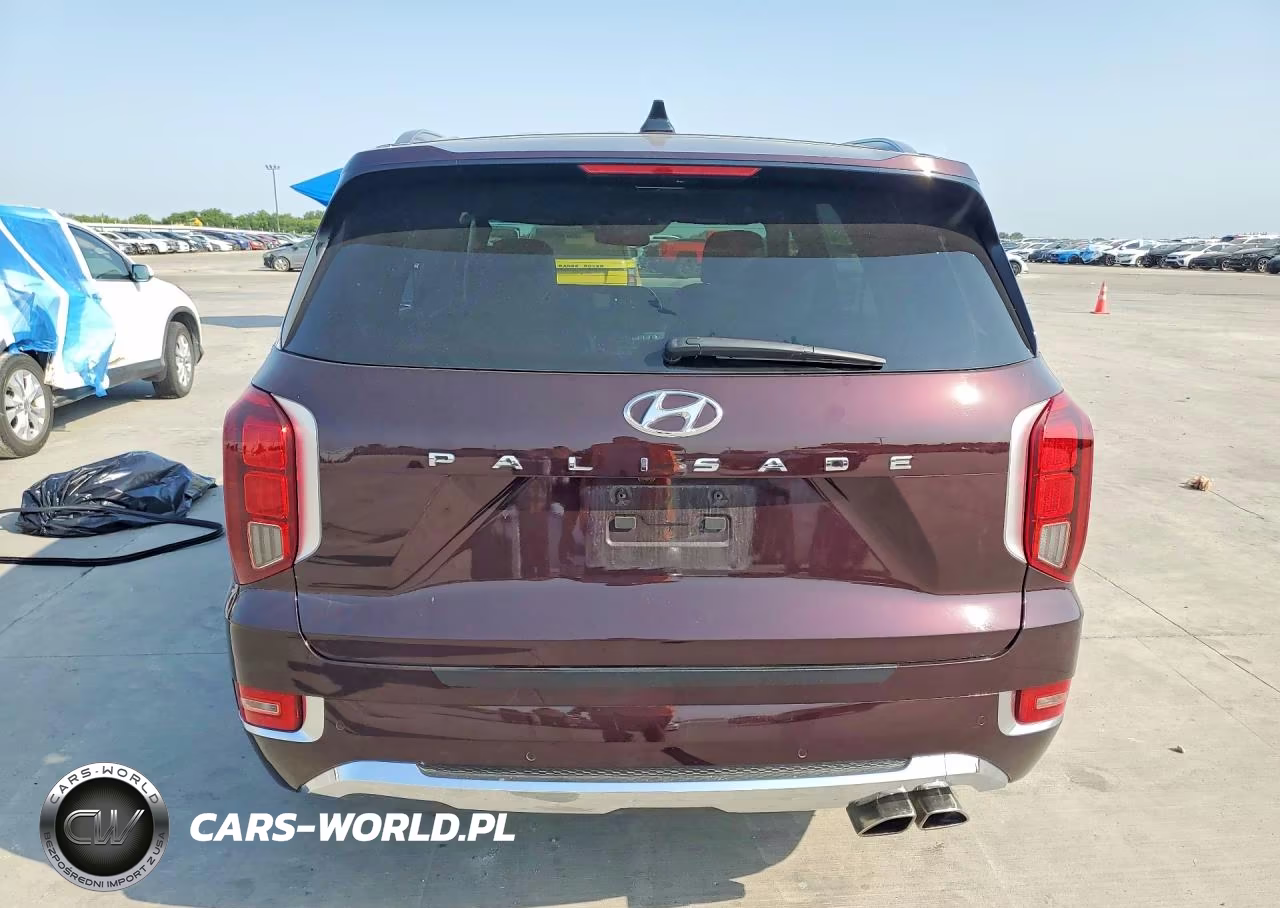 2020 Hyundai Palisade Limited VIN:KM8R54HE6LU093888 - 6