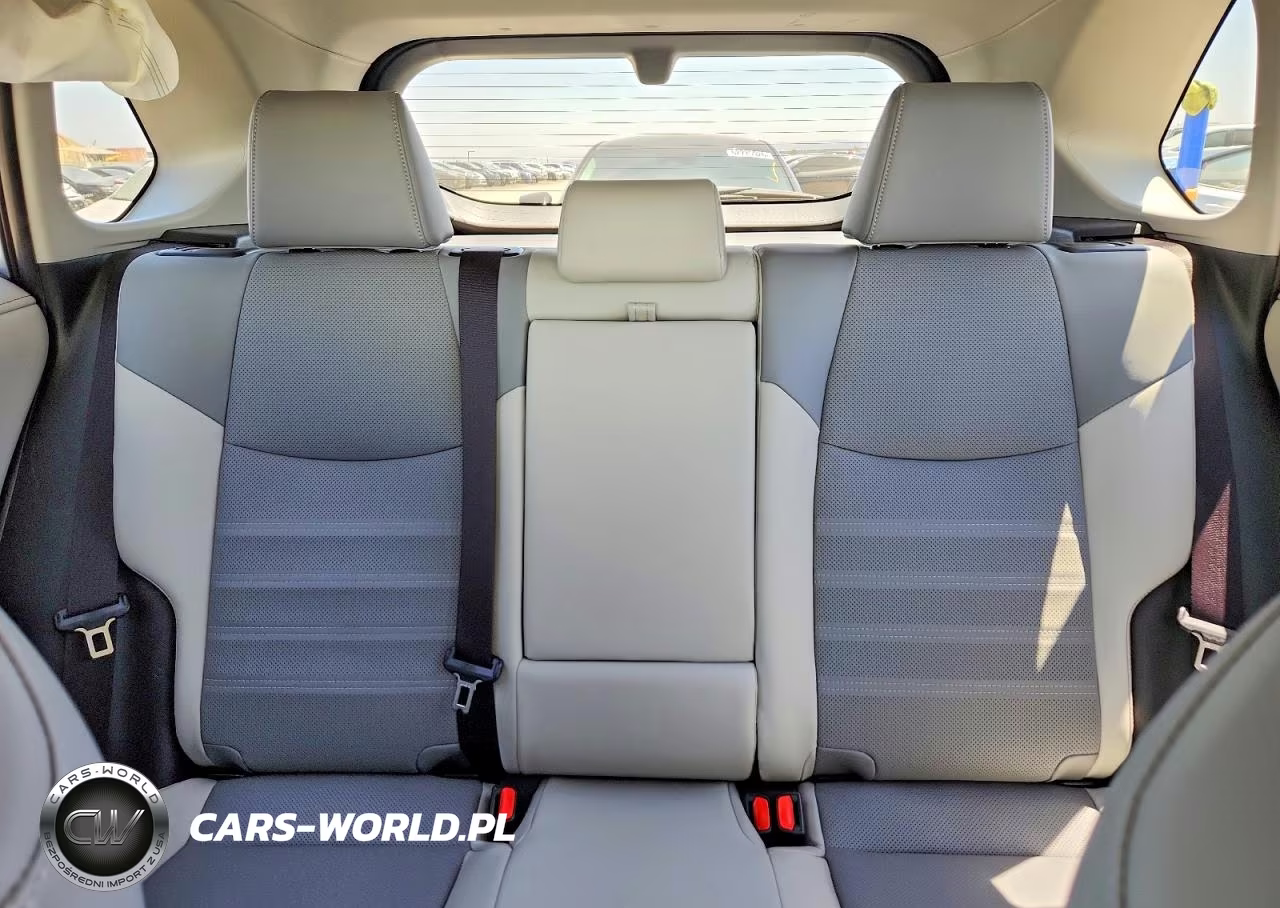 2020 Toyota Rav4 Limited VIN:JTMDWRFV1LD056520 - 10