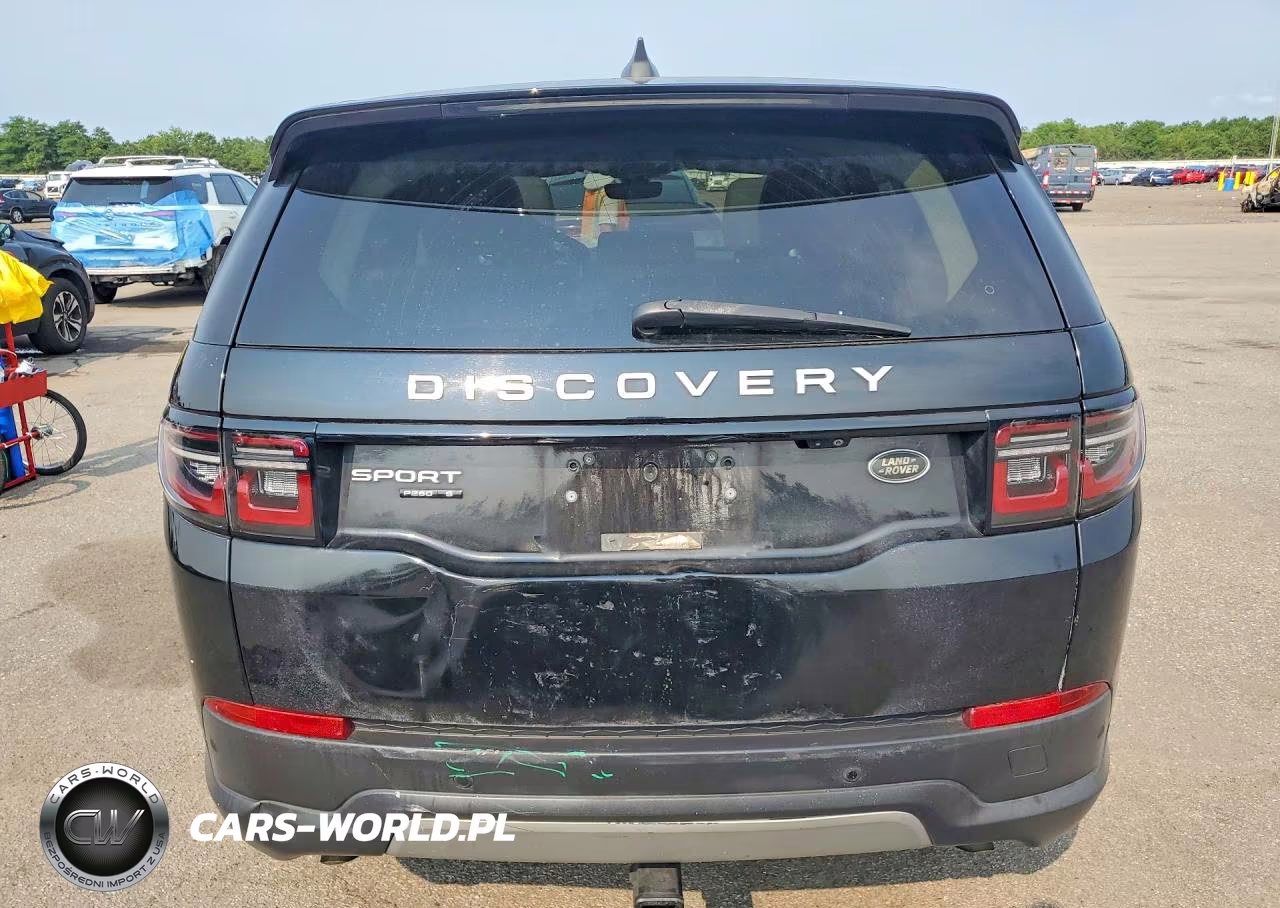 2020 Land Rover Discovery Sport S VIN:SALCJ2FX1LH841043 - 6