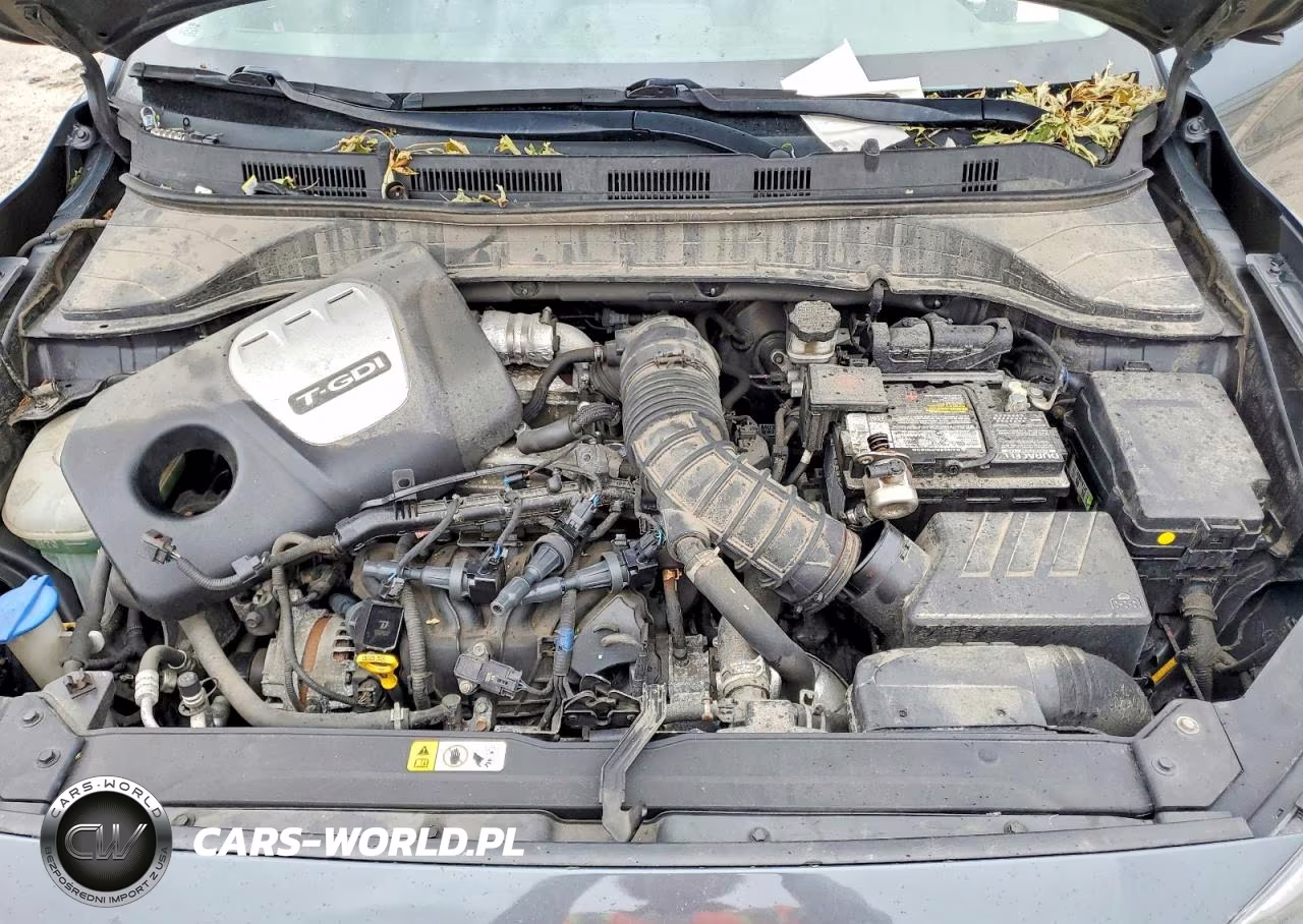 2018 Hyundai Kona Limited VIN:KM8K33A51JU072861 - 12