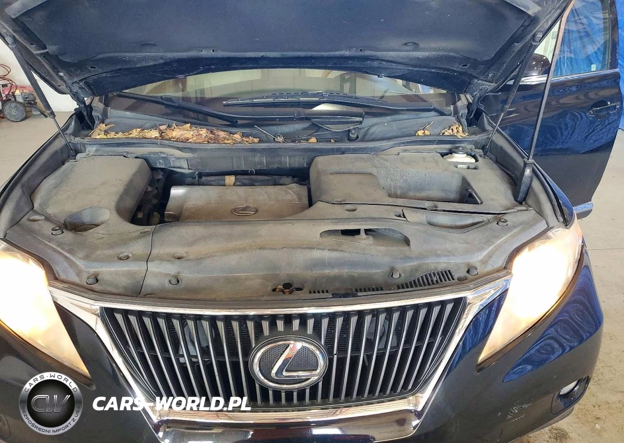 2010 Lexus Rx 350 VIN:2T2BK1BA8AC061288 - 12