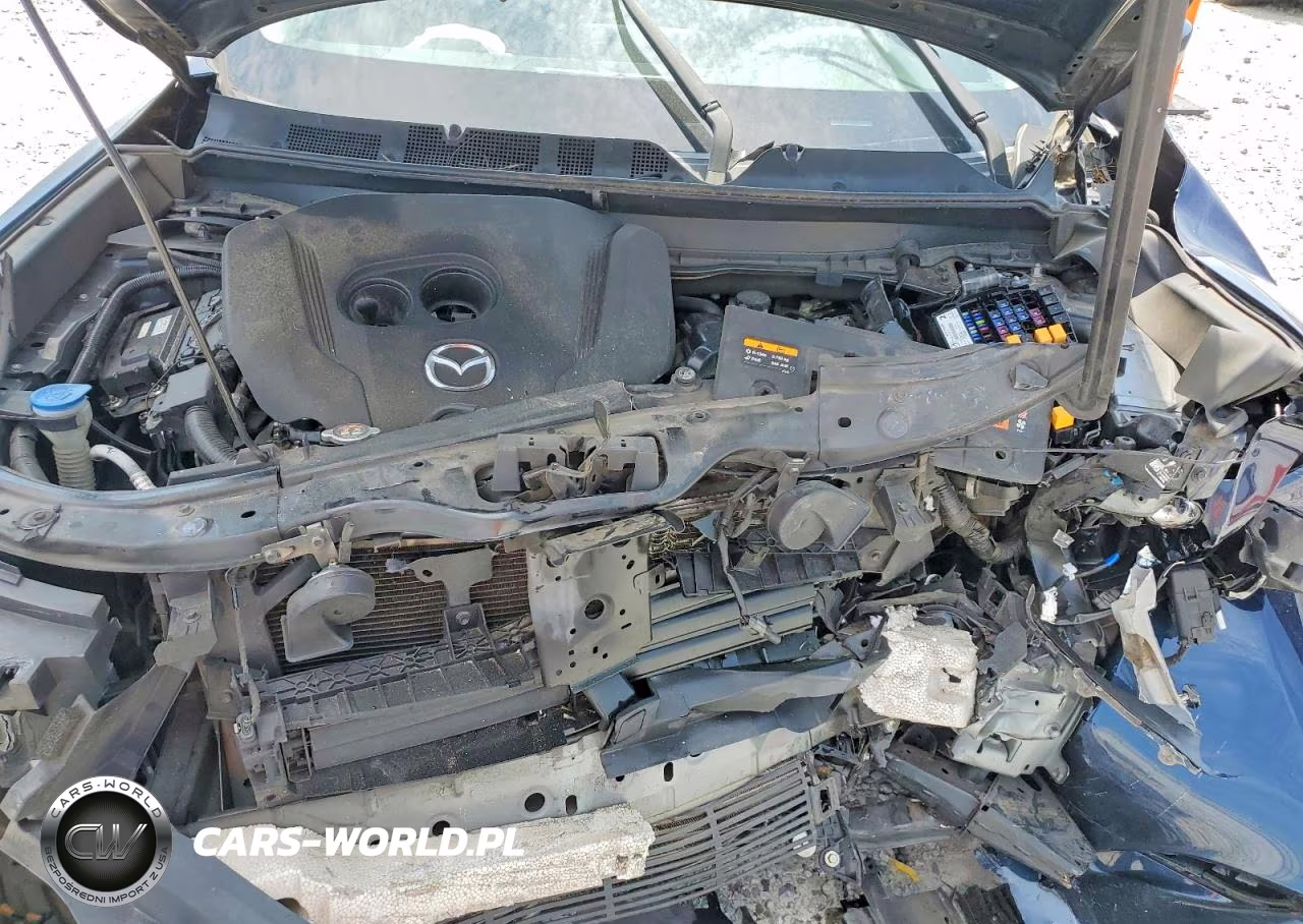 2018 Mazda Cx-9 Sport VIN:JM3TCABY1J0230376 - 12