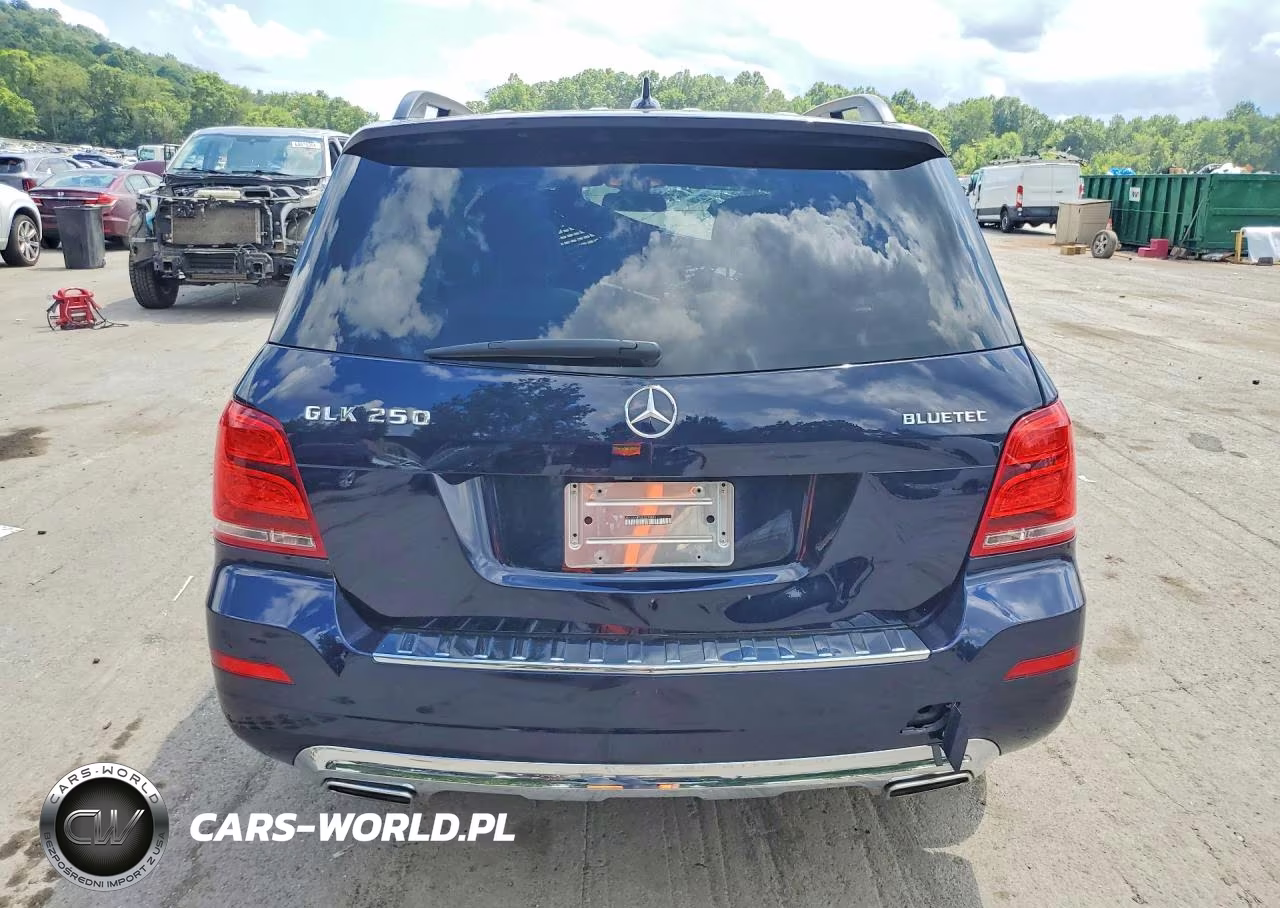 2014 Mercedes-Benz Glk 250 Bluetec VIN:WDCGG0EB3EG293051 - 6