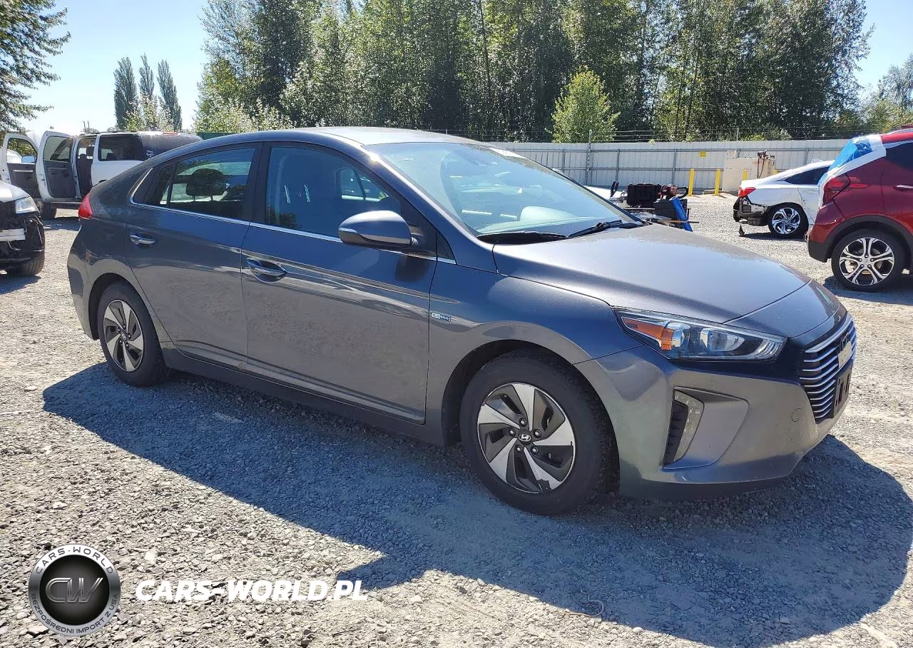 2017 Hyundai Ioniq Sel VIN:KMHC75LC1HU035593 - 4