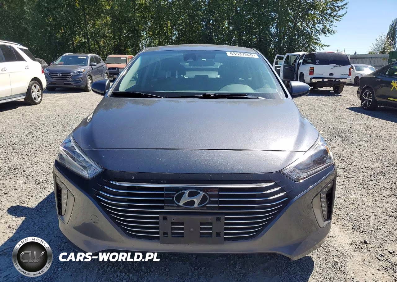 2017 Hyundai Ioniq Sel VIN:KMHC75LC1HU035593 - 5
