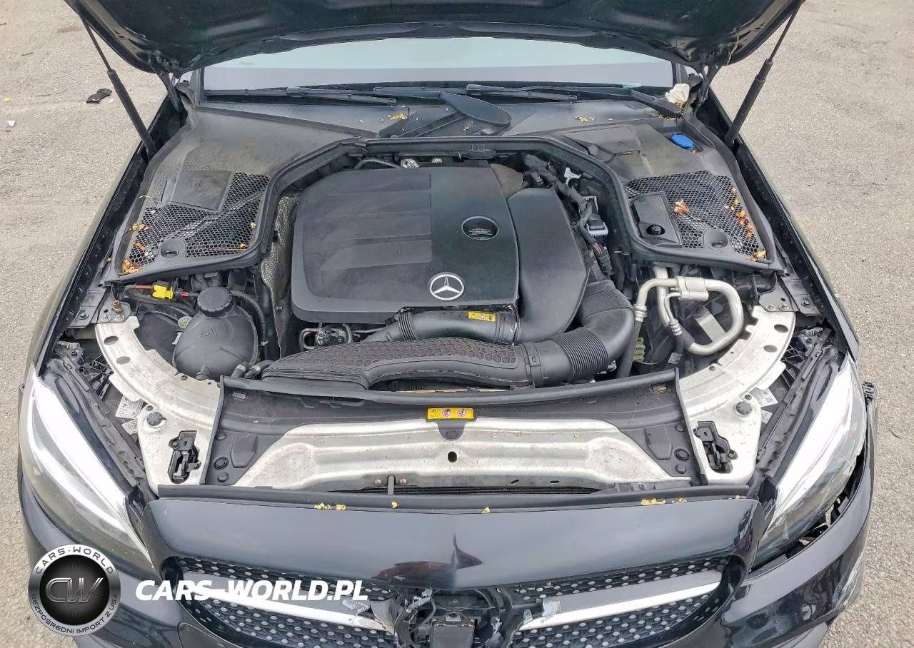 2019 Mercedes-Benz C 300 VIN:55SWF8DB0KU316911 - 11