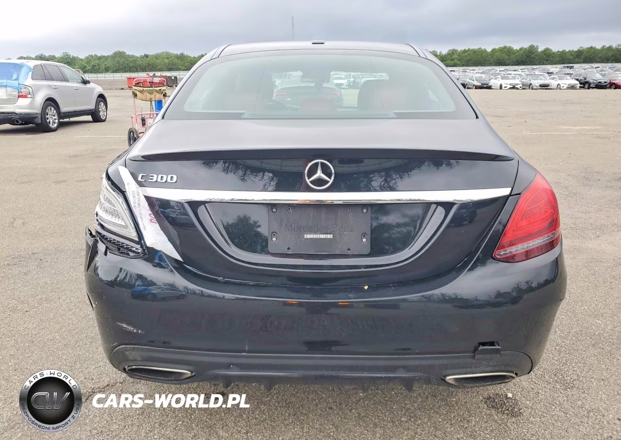 2019 Mercedes-Benz C 300 VIN:55SWF8DB0KU316911 - 6