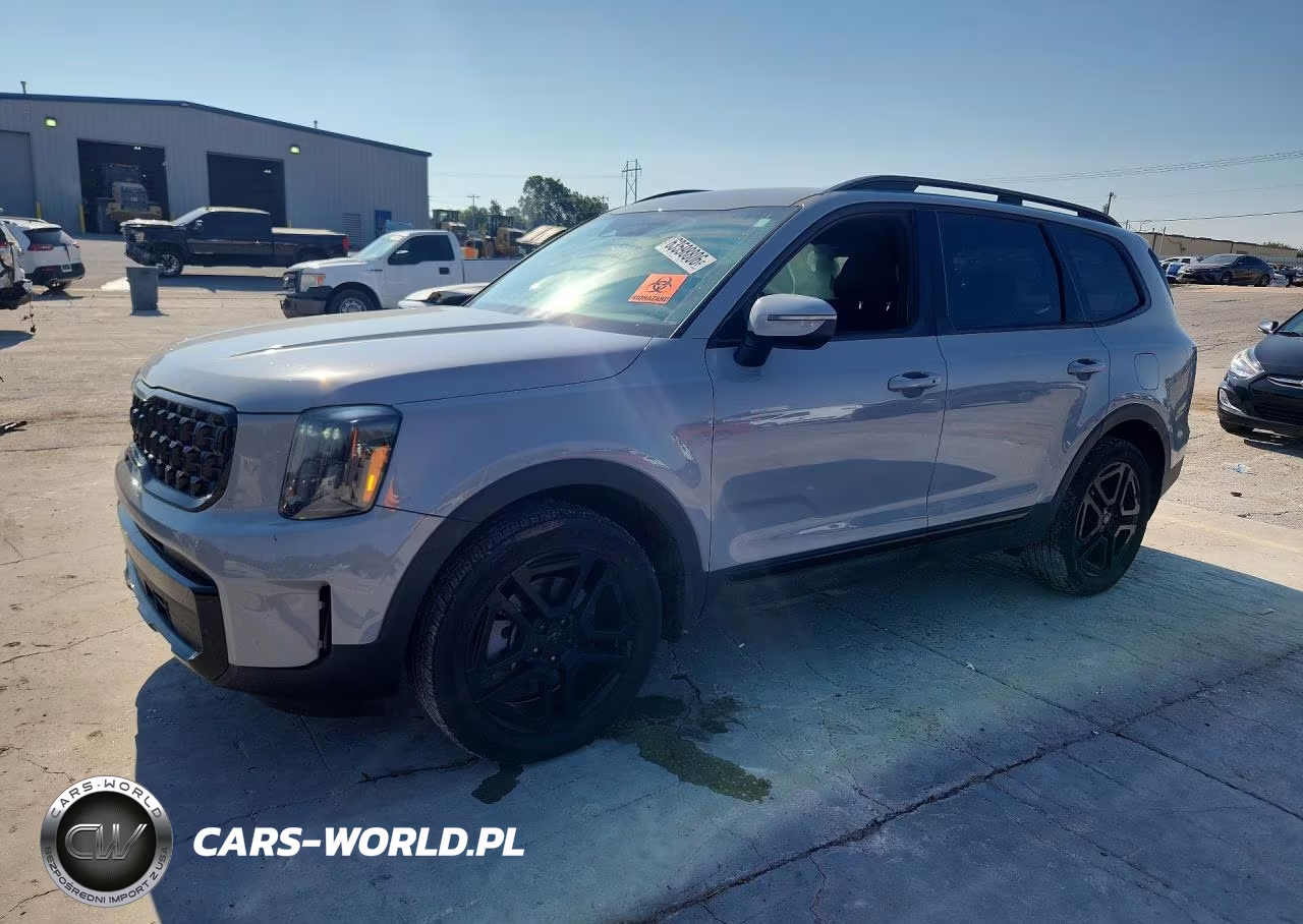 2025 Kia Telluride Ex X-Line VIN:5XYP3DGC7SG620807 - 1