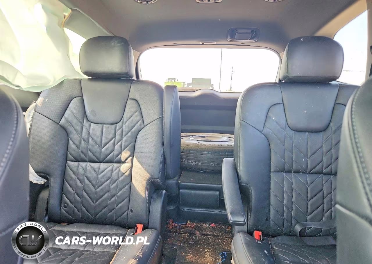 2025 Kia Telluride Ex X-Line VIN:5XYP3DGC7SG620807 - 10