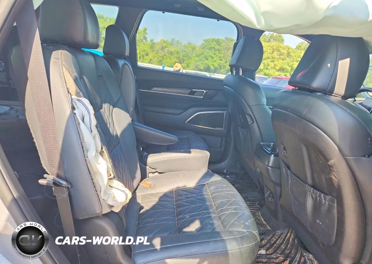 2025 Kia Telluride Ex X-Line VIN:5XYP3DGC7SG620807 - 11