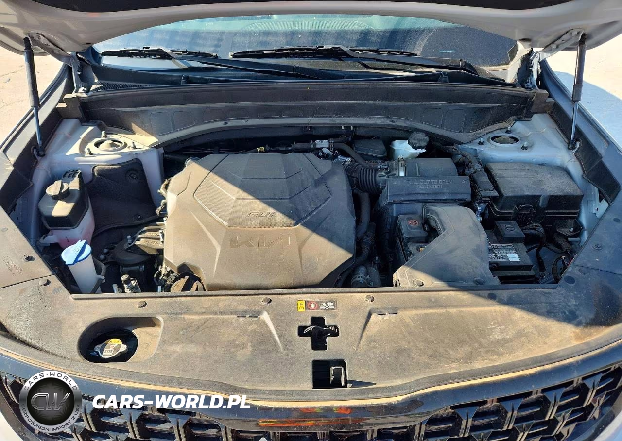 2025 Kia Telluride Ex X-Line VIN:5XYP3DGC7SG620807 - 12