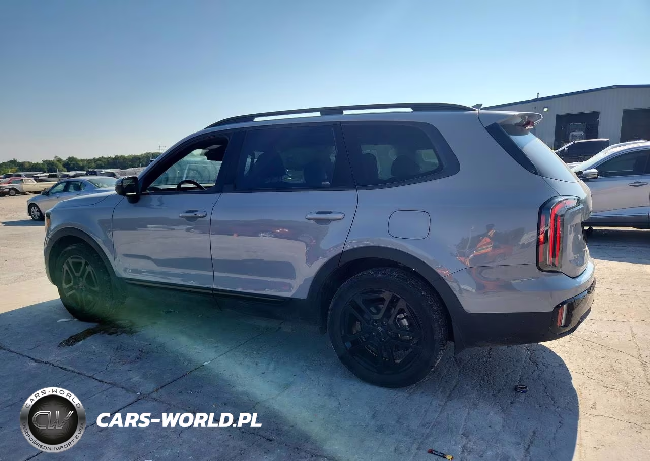2025 Kia Telluride Ex X-Line VIN:5XYP3DGC7SG620807 - 2