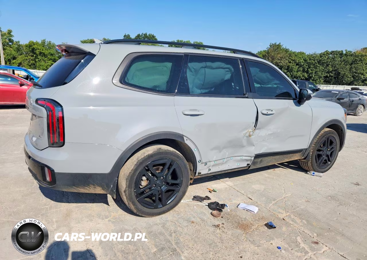 2025 Kia Telluride Ex X-Line VIN:5XYP3DGC7SG620807 - 3