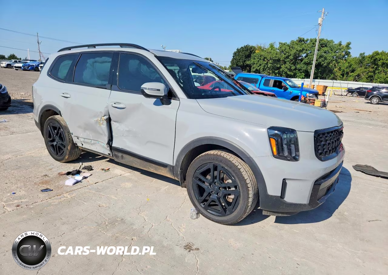 2025 Kia Telluride Ex X-Line VIN:5XYP3DGC7SG620807 - 4