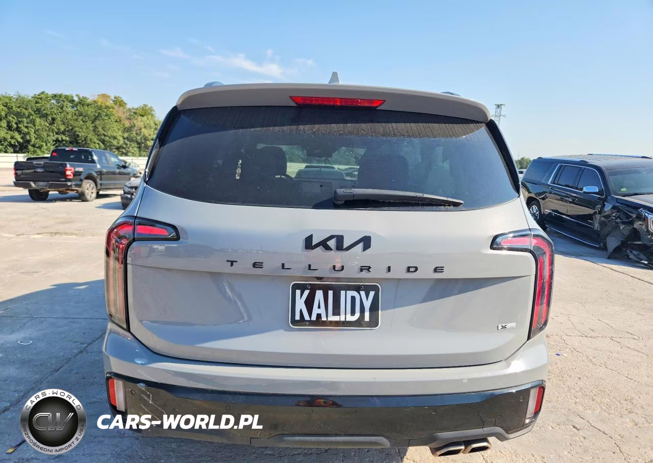 2025 Kia Telluride Ex X-Line VIN:5XYP3DGC7SG620807 - 6