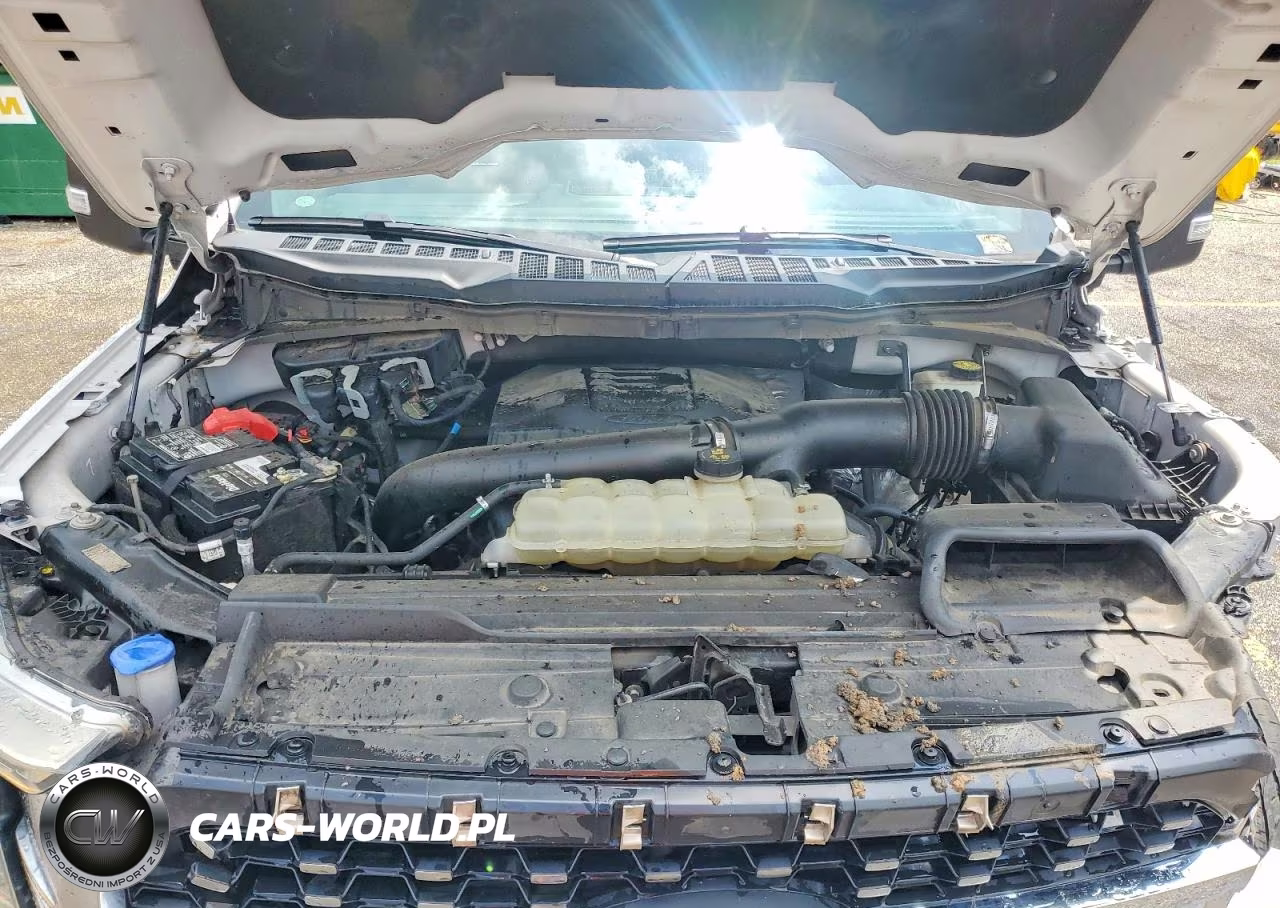 2021 Ford F150 Supercrew VIN:1FTFW1E86MFA80601 - 11