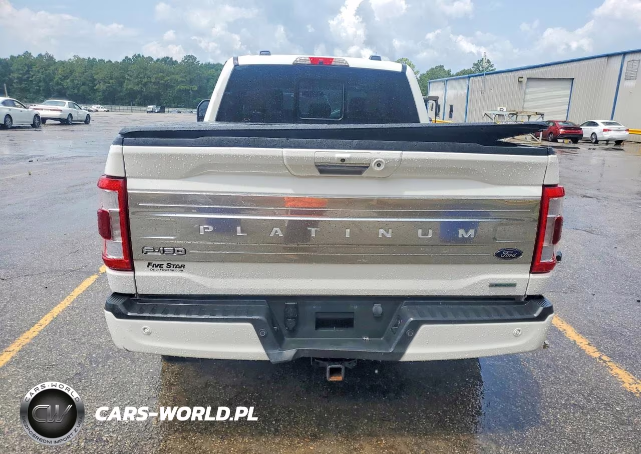 2021 Ford F150 Supercrew VIN:1FTFW1E86MFA80601 - 6