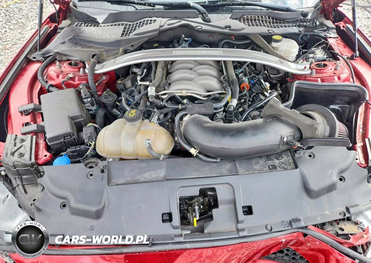 2019 Ford Mustang Gt VIN:1FA6P8CF5K5197022 - 11