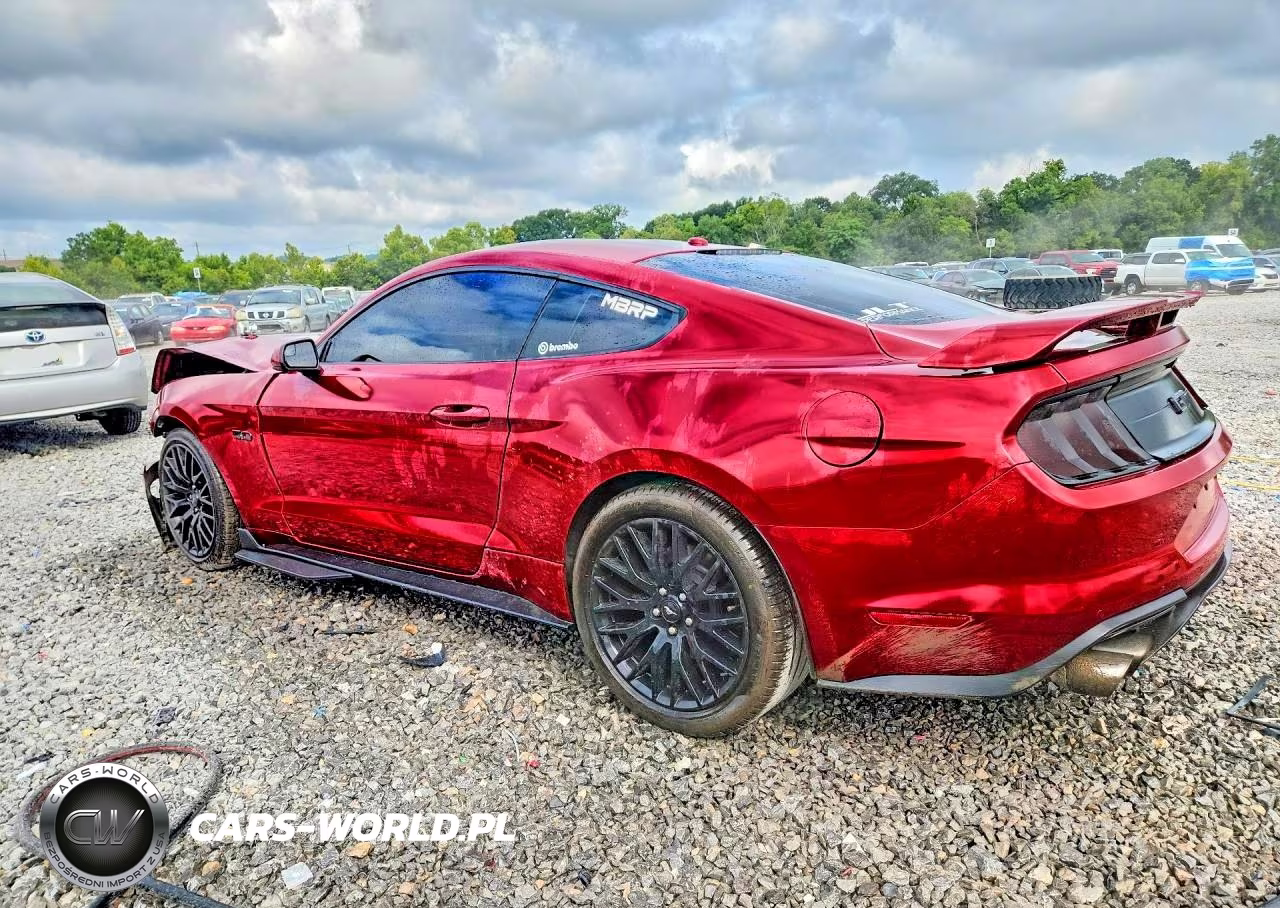 2019 Ford Mustang Gt VIN:1FA6P8CF5K5197022 - 2