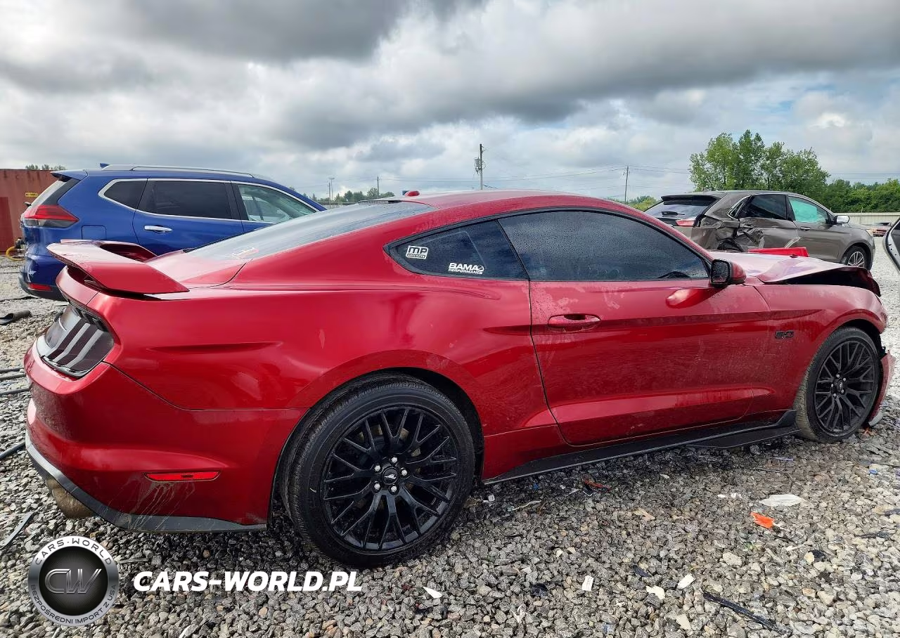 2019 Ford Mustang Gt VIN:1FA6P8CF5K5197022 - 3