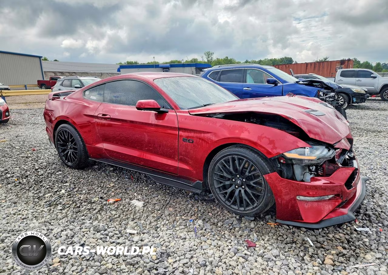 2019 Ford Mustang Gt VIN:1FA6P8CF5K5197022 - 4