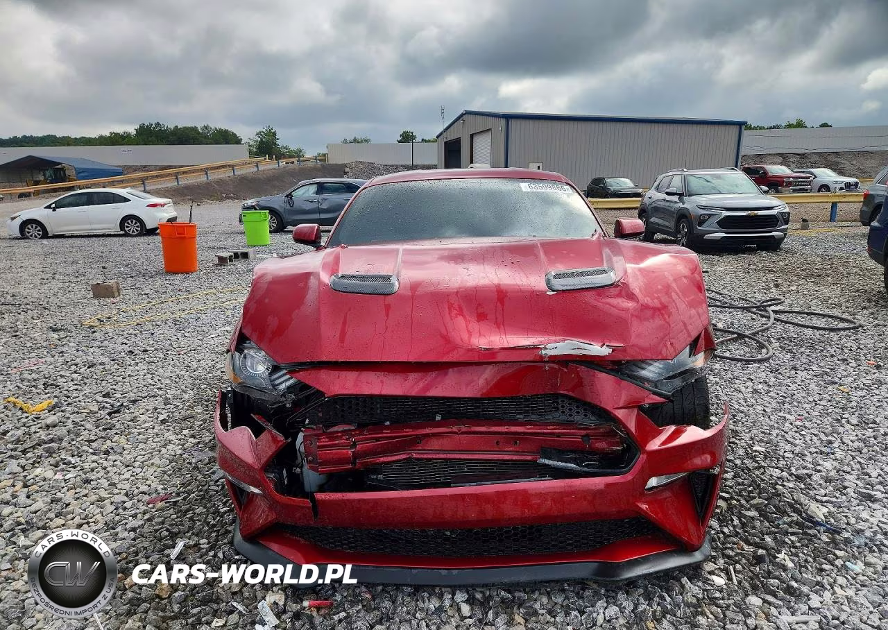 2019 Ford Mustang Gt VIN:1FA6P8CF5K5197022 - 5