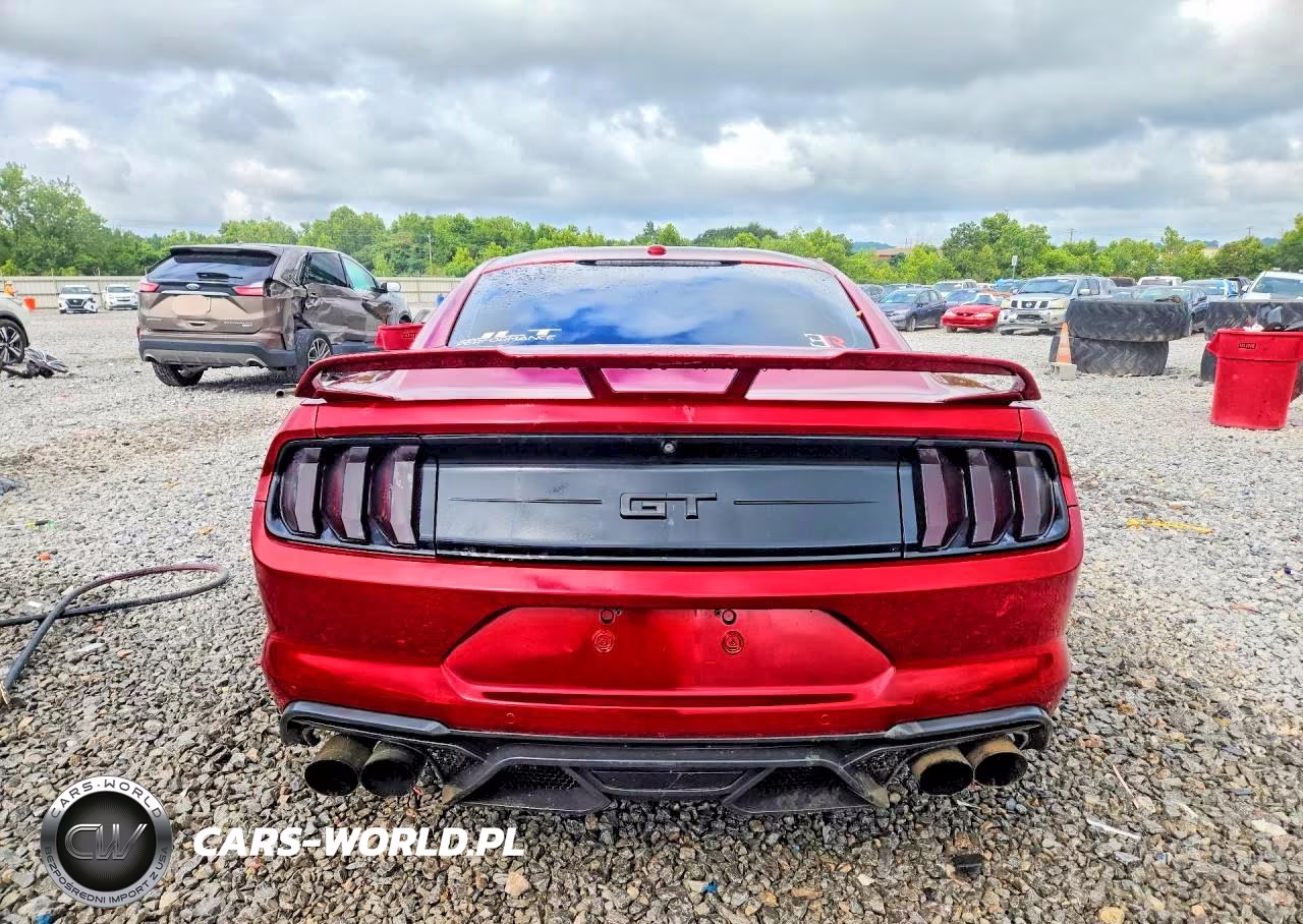 2019 Ford Mustang Gt VIN:1FA6P8CF5K5197022 - 6