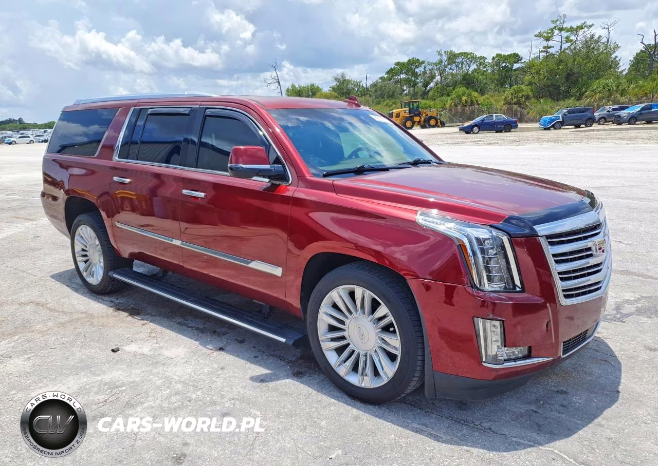 2016 Cadillac Escalade Esv Platinum VIN:1GYS4KKJ3GR232462 - 4