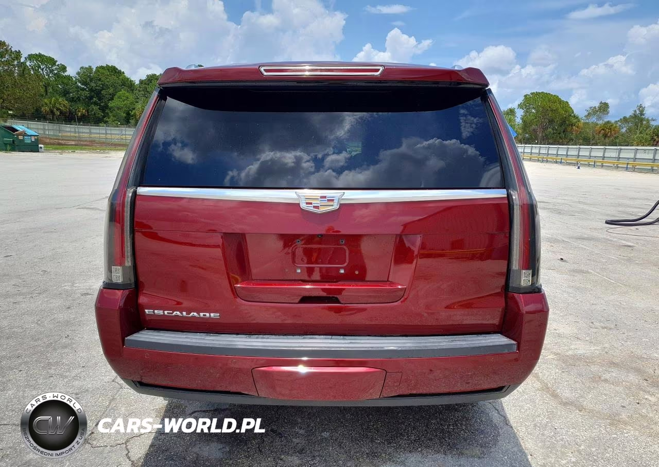 2016 Cadillac Escalade Esv Platinum VIN:1GYS4KKJ3GR232462 - 6