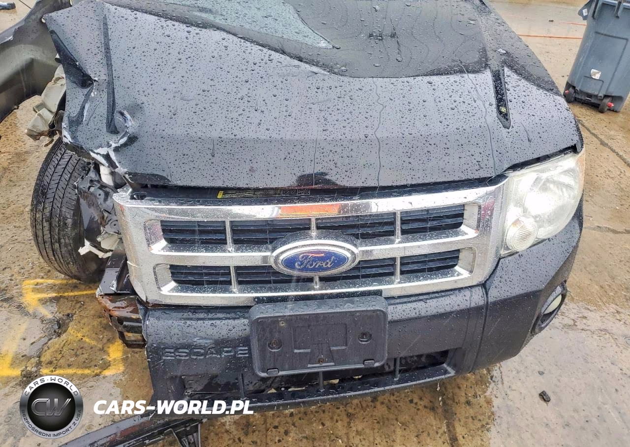 2009 Ford Escape Xlt VIN:1FMCU03729KD03921 - 11