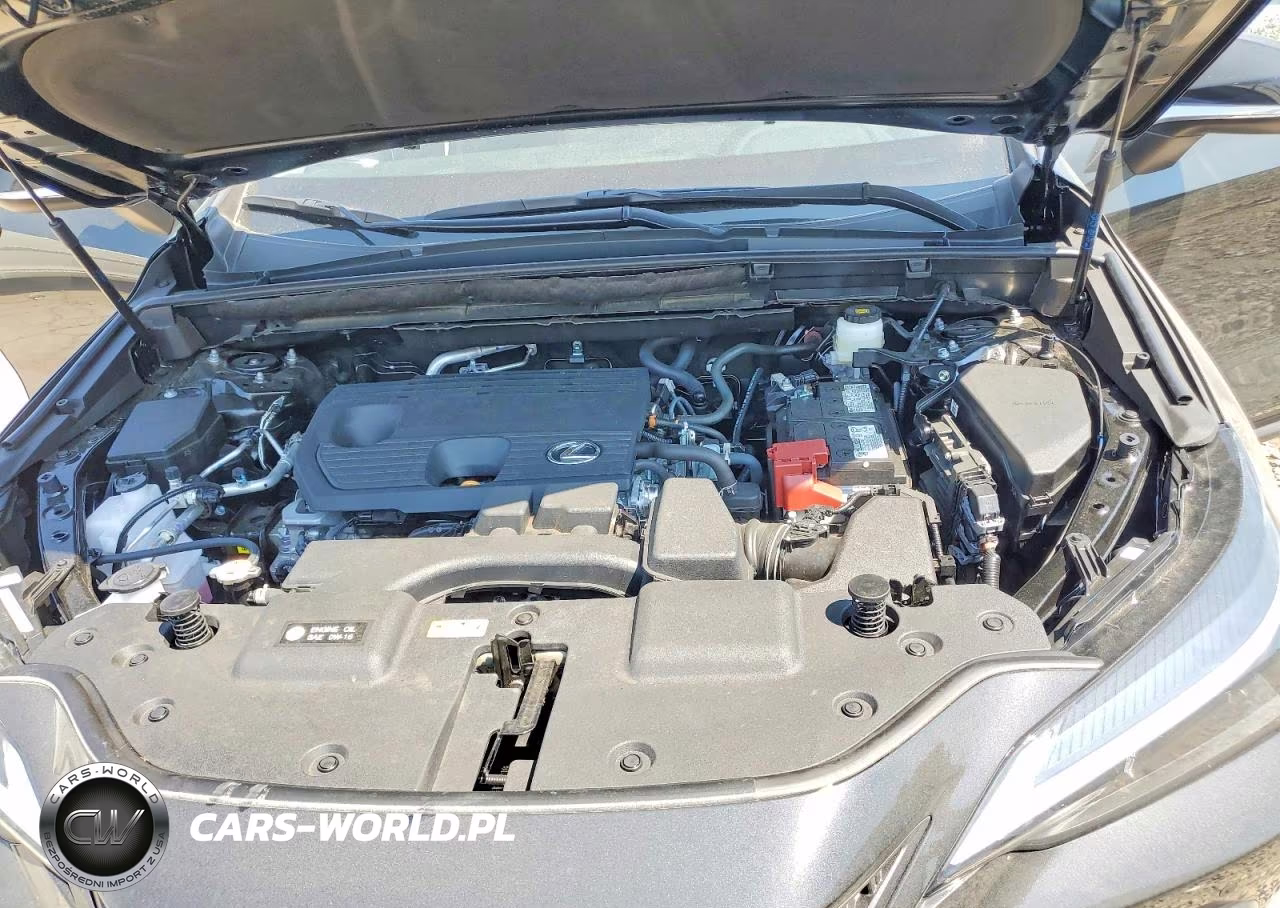 2025 Lexus Nx 250 Premium VIN:2T2GDCAZ8SC023225 - 11