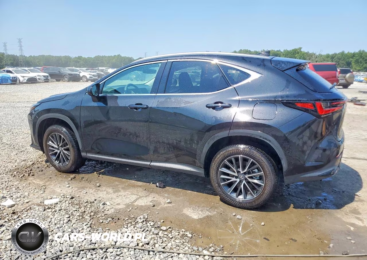 2025 Lexus Nx 250 Premium VIN:2T2GDCAZ8SC023225 - 2