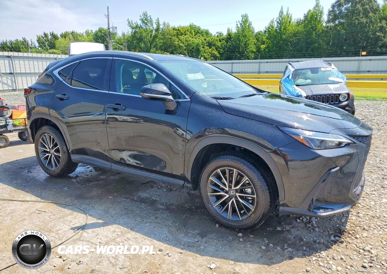 2025 Lexus Nx 250 Premium VIN:2T2GDCAZ8SC023225 - 4