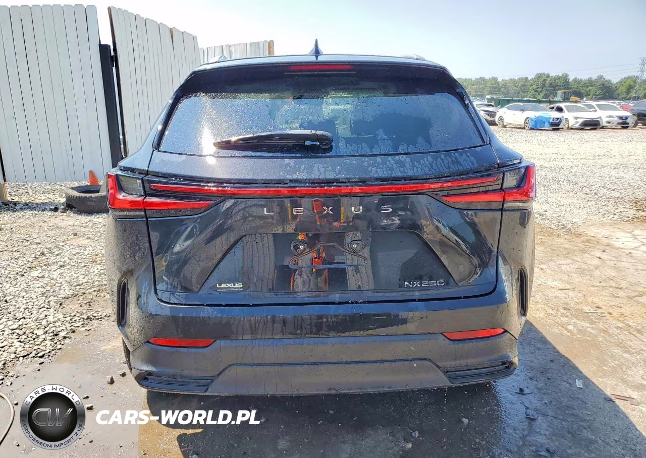 2025 Lexus Nx 250 Premium VIN:2T2GDCAZ8SC023225 - 6