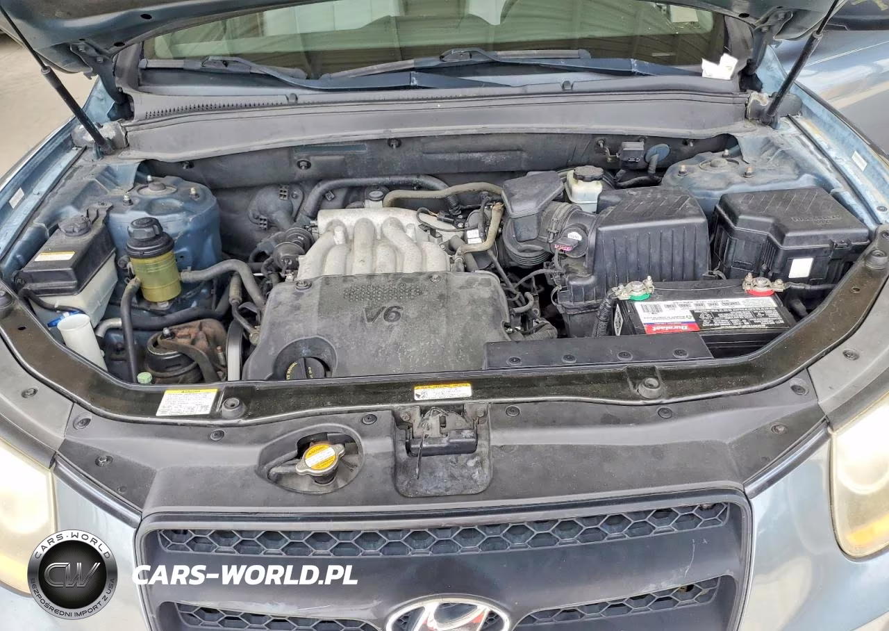 2009 Hyundai Santa Fe Gls VIN:5NMSG13D29H319826 - 12