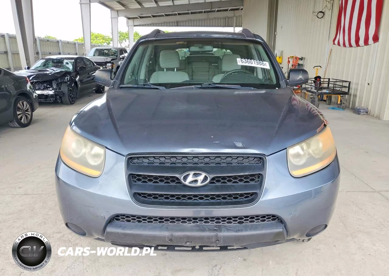 2009 Hyundai Santa Fe Gls VIN:5NMSG13D29H319826 - 5