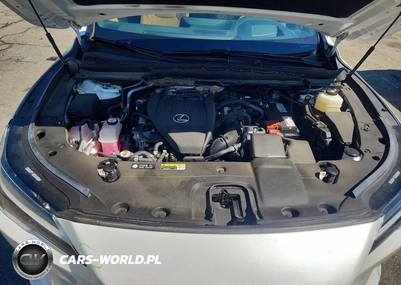 2024 Lexus Rx 350 Premium+ VIN:2T2BAMCA4RC074988 - 12