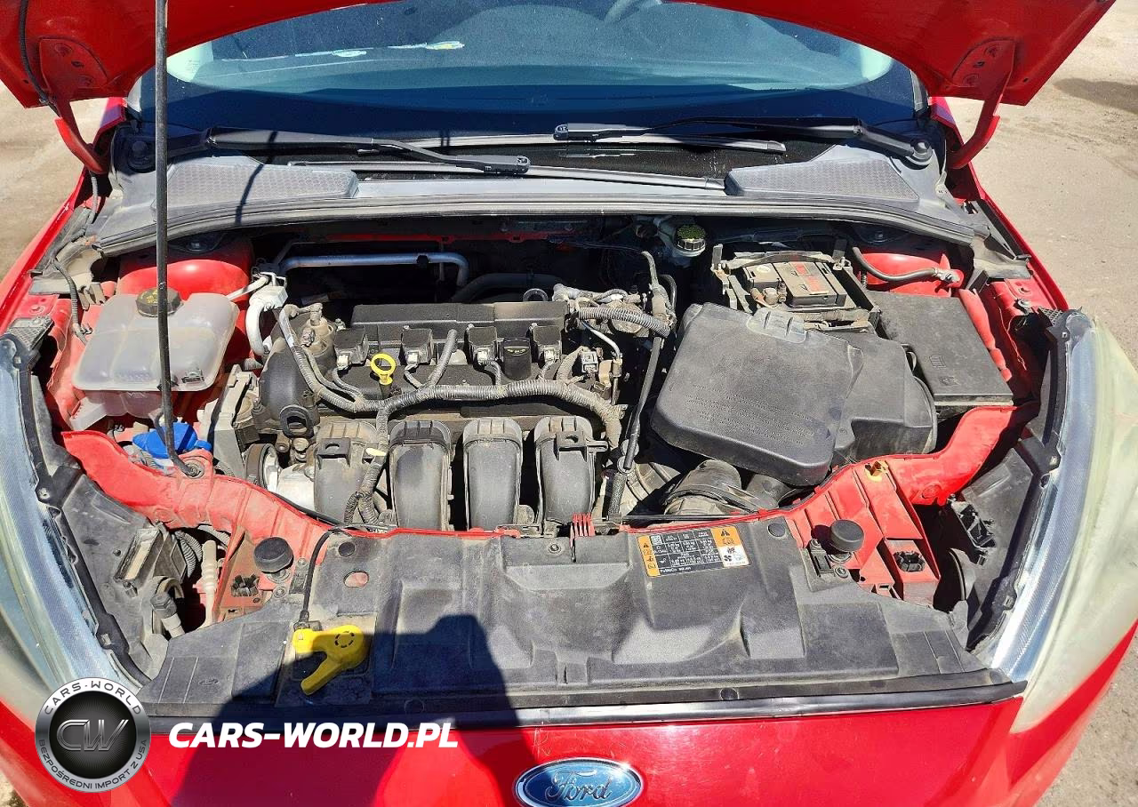 2015 Ford Focus Se VIN:1FADP3F26FL294511 - 11