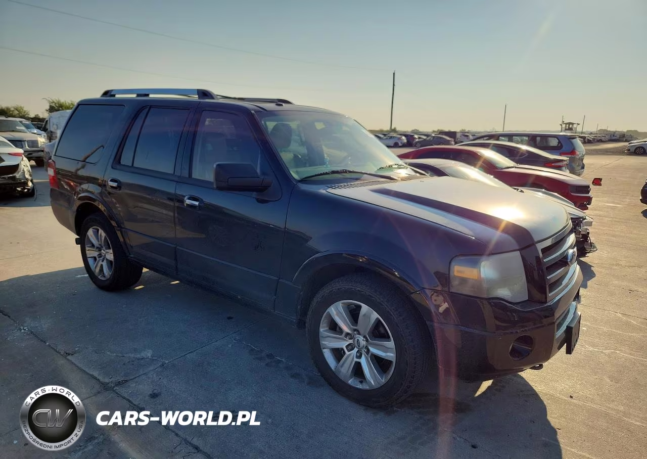 2009 Ford Expedition Limited VIN:1FMFU20509EA96746 - 4