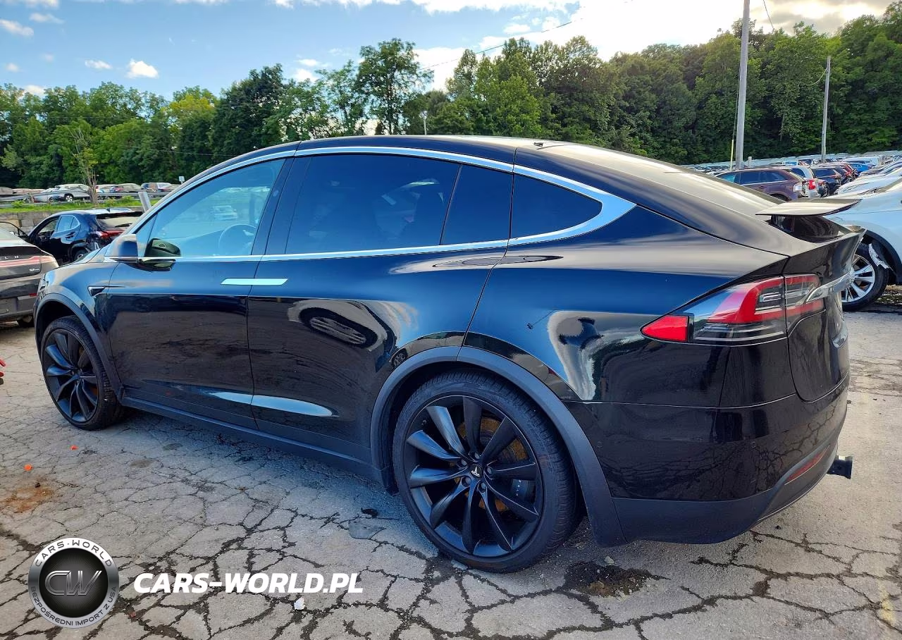 2019 Tesla Model X VIN:5YJXCAE2XKF181439 - 2