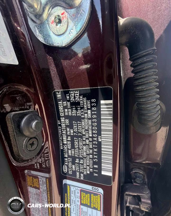 2013 Kia Sorento Lx VIN:5XYKT3A68DG391838 - 10