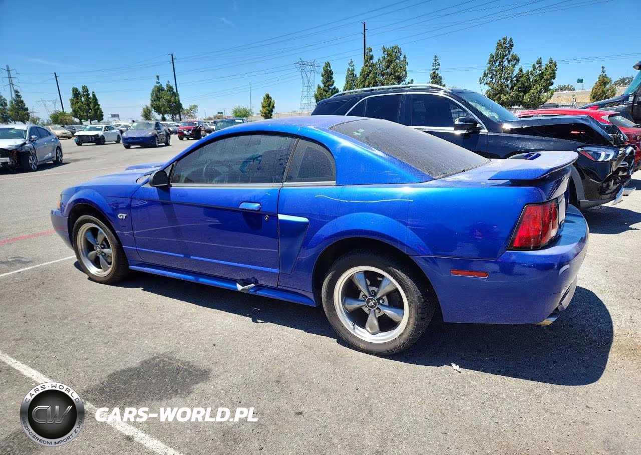 2003 Ford Mustang Gt VIN:1FAFP42X23F354536 - 2
